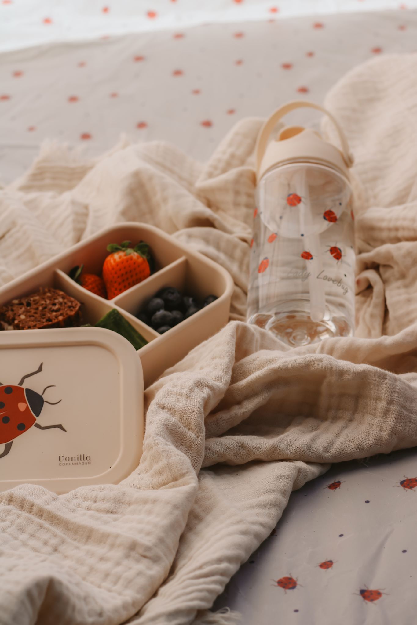 Lunch Box - Ladybug- Silicone