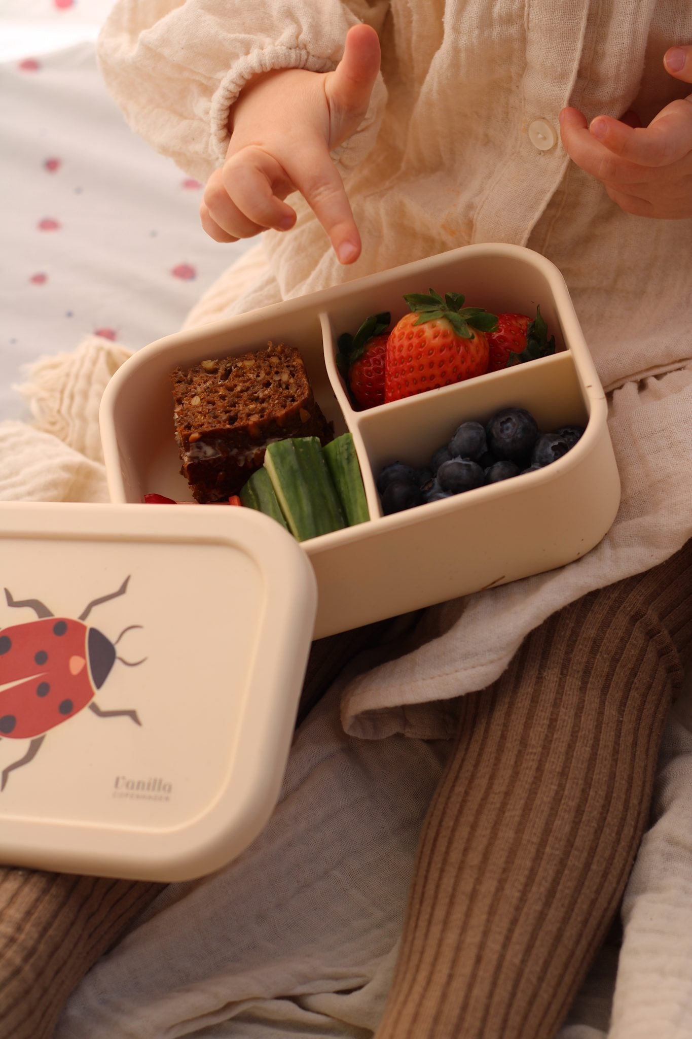 Lunch Box - Ladybug- Silicone