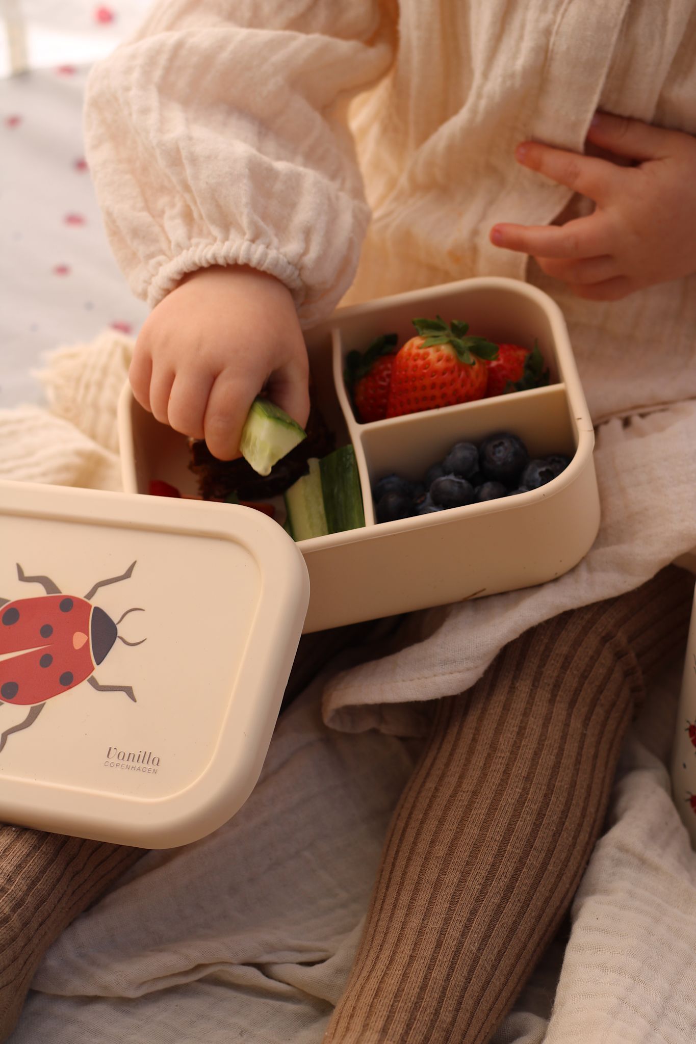 Lunch Box - Ladybug- Silicone