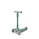 Mini Scooter - Fern