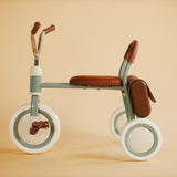 Tricycle Retro - Fern